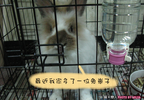 20090108-兔崽子01
