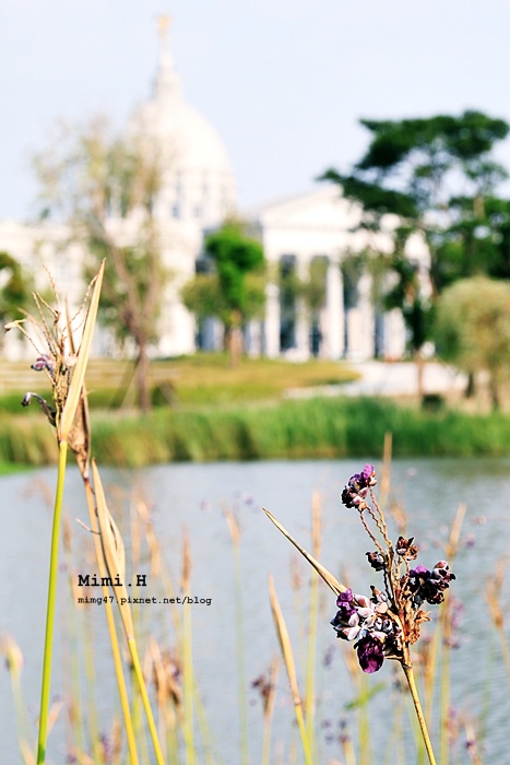 台南都會公園奇美博物館20.JPG