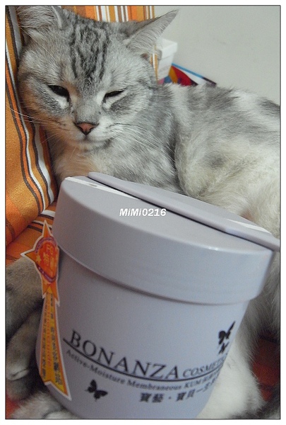 2010.7.4 肥貓與寶藝。