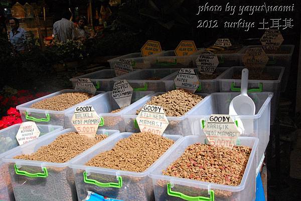 PhotoCap_017