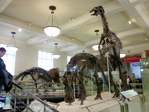 20140208_152648.jpg 20140208_152648.jpg