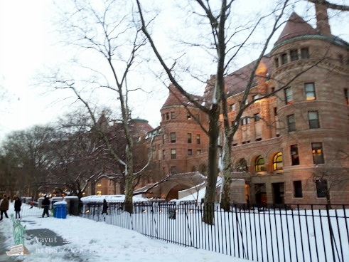 20140208_172956.jpg 20140208_172956.jpg