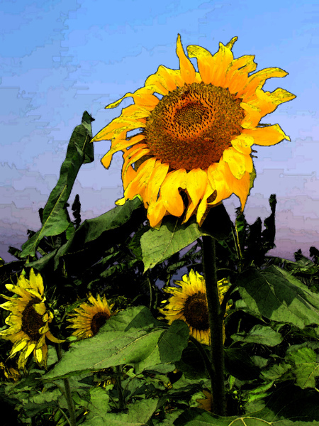 4a07daa624671.jpg 4a07daa624671.jpg