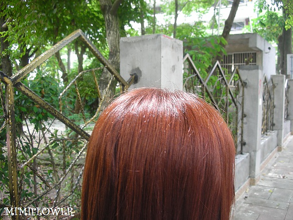 DSCN2426.JPG DSCN2426.JPG