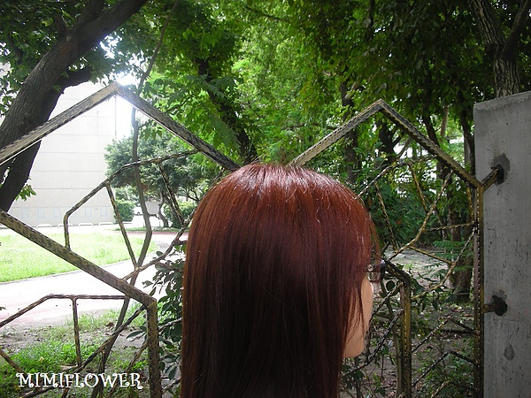 DSCN2425.JPG DSCN2425.JPG