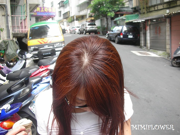 DSCN2428.JPG DSCN2428.JPG