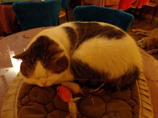 DSC04972.JPG DSC04972.JPG