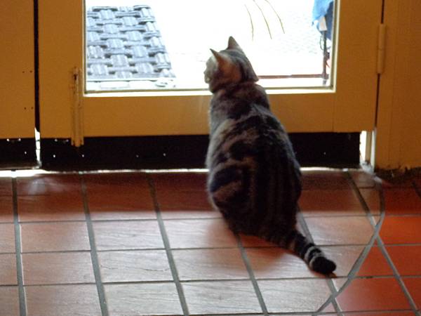 DSC04973.JPG DSC04973.JPG