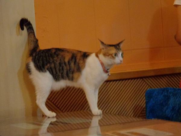 DSC04974.JPG DSC04974.JPG