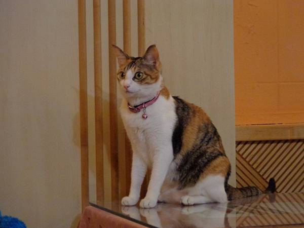 DSC04976.JPG DSC04976.JPG