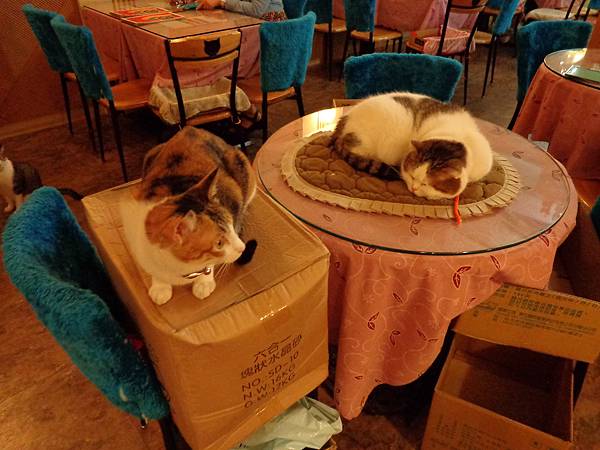 DSC04977.JPG DSC04977.JPG