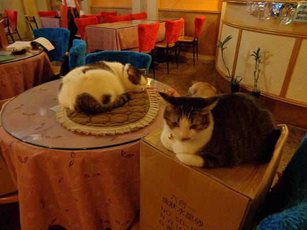 DSC04985.JPG DSC04985.JPG