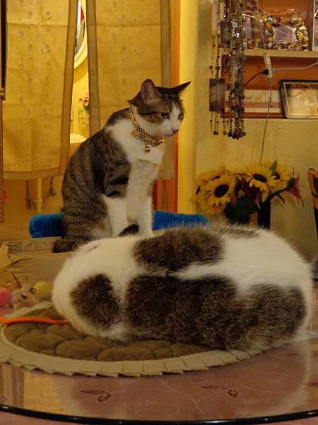 DSC04989.JPG DSC04989.JPG