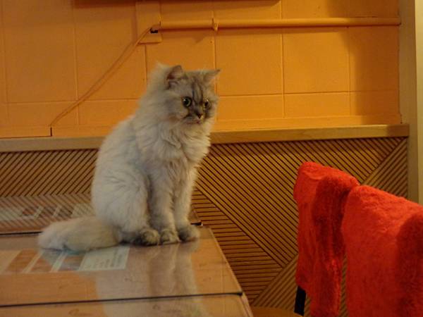 DSC04991.JPG DSC04991.JPG