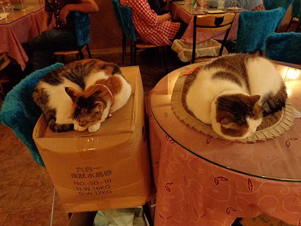 DSC04993.JPG DSC04993.JPG