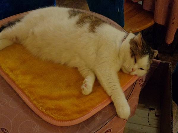 DSC05150.JPG DSC05150.JPG