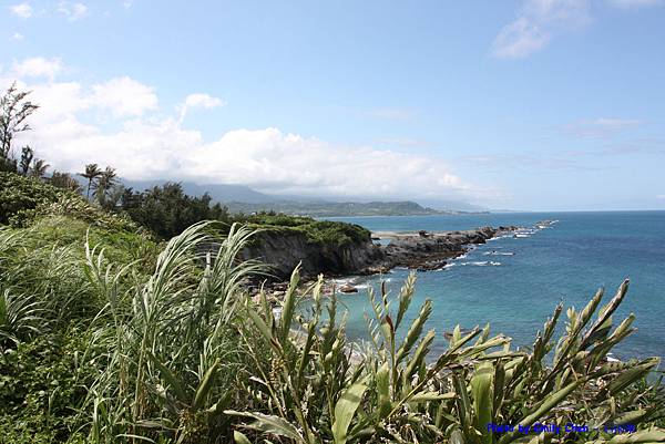 IMG_8769.JPG IMG_8769.JPG