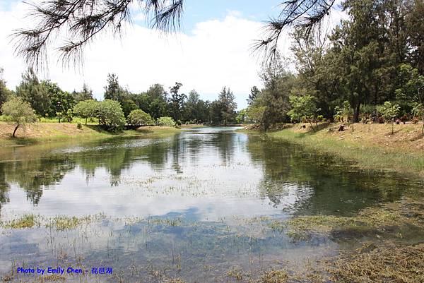 IMG_8693.JPG IMG_8693.JPG