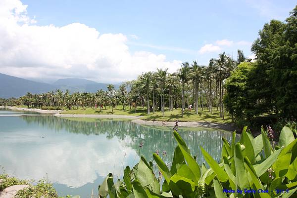 IMG_8802.JPG IMG_8802.JPG