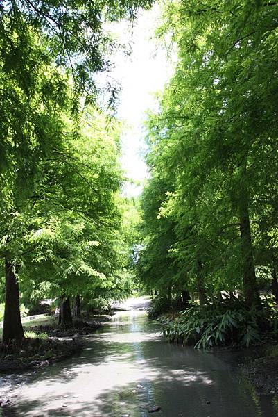 IMG_8798.JPG IMG_8798.JPG