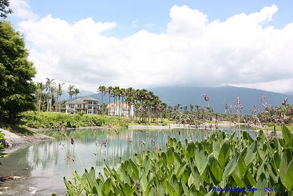 IMG_8806.JPG IMG_8806.JPG