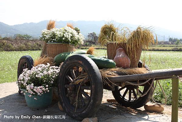 IMG_2006.JPG IMG_2006.JPG