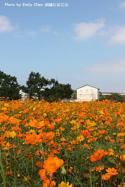 IMG_2064.JPG IMG_2064.JPG