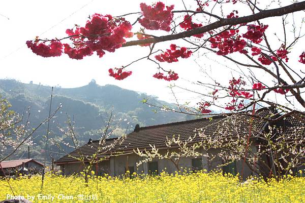 IMG_3373.JPG IMG_3373.JPG