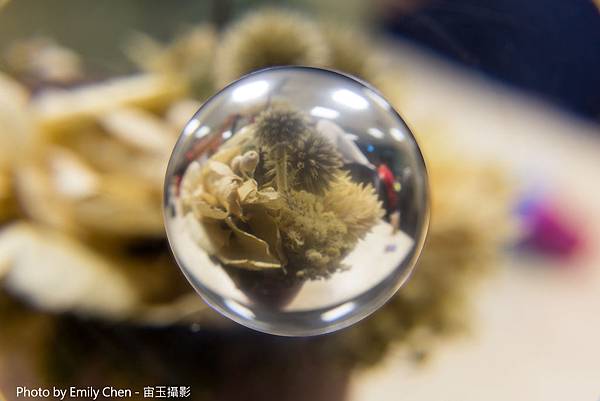 IMG_0773_1 IMG_0773_1