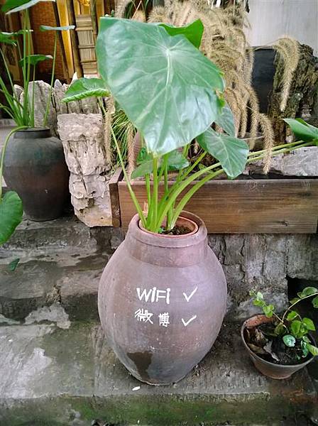 WP_20131221_142 (Medium).jpg WP_20131221_142 (Medium).jpg