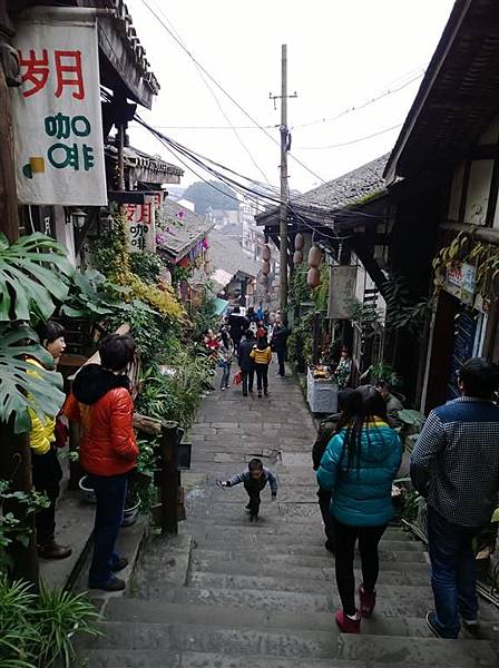 WP_20131221_168 (Medium).jpg WP_20131221_168 (Medium).jpg