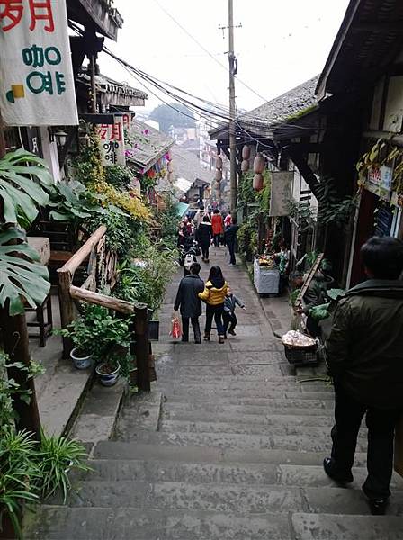 WP_20131221_167 (Medium).jpg WP_20131221_167 (Medium).jpg