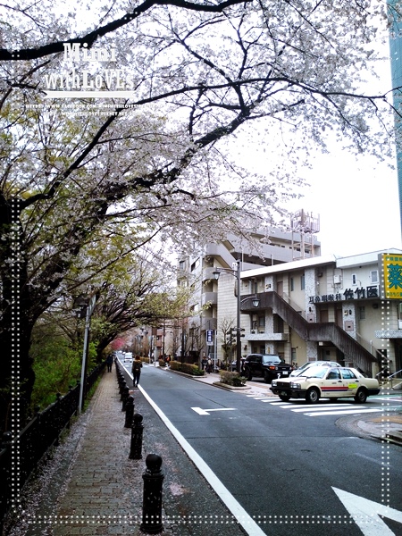 0P_20140404_094916-006.jpg