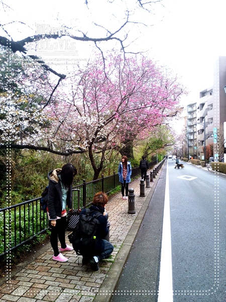 0P_20140404_095101-007.jpg