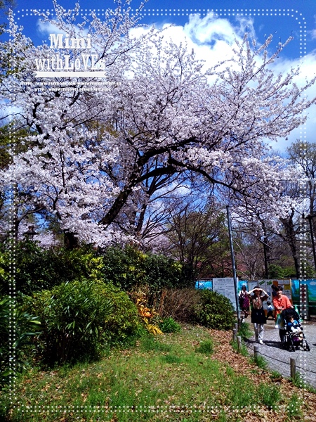0P_20140404_123750-017.jpg