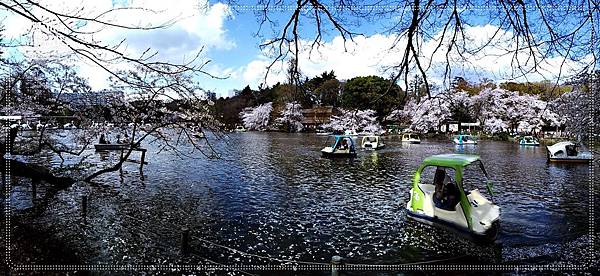 0P_20140404_132906-024.jpg