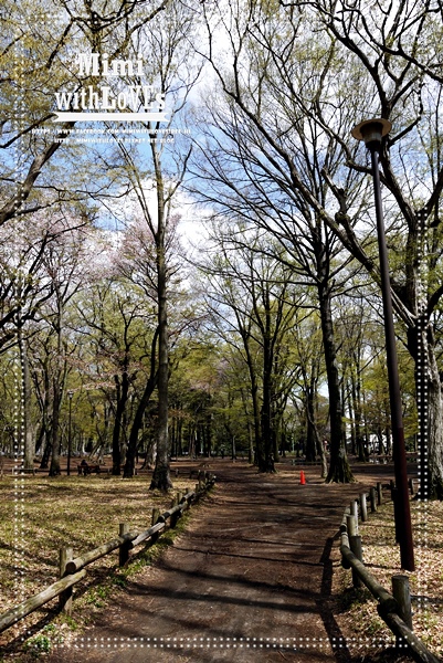 0P1240747-025.JPG