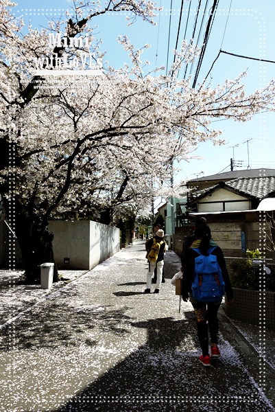 0P1240759-026.JPG