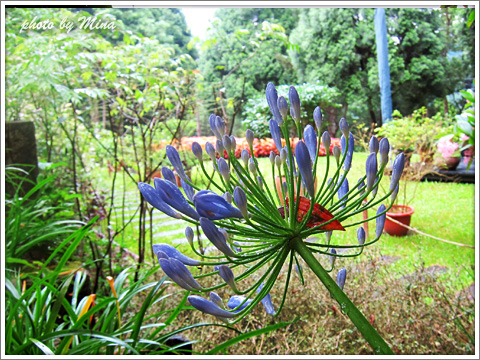 20120623_42 20120623_42