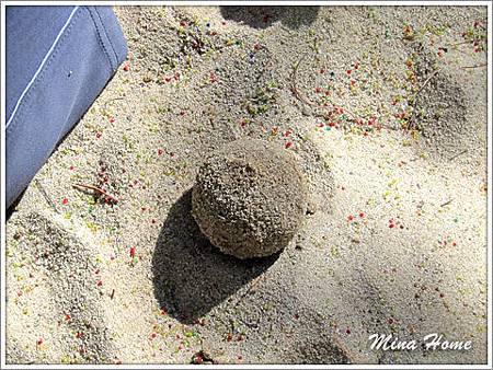 20141216_40.jpg 20141216_40.jpg