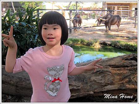 20141216_46.jpg 20141216_46.jpg