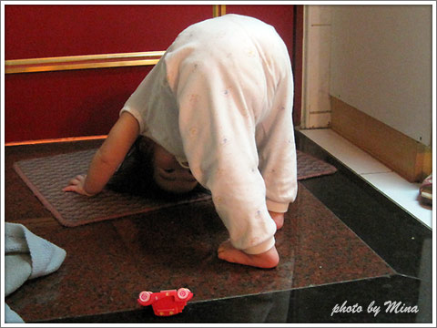 0429_010.jpg 0429_010.jpg