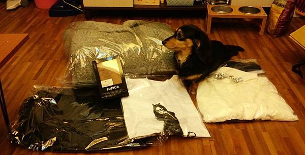 C360_2013-01-09-18-53-56 C360_2013-01-09-18-53-56