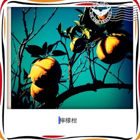 IMG_8178.JPG IMG_8178.JPG