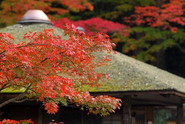 2007-11-15 07.24.15 2007-11-15 07.24.15