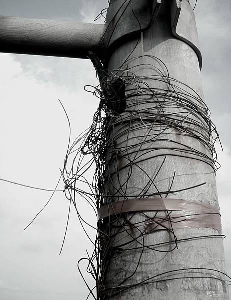 【專業知識】躁鬱症簡介