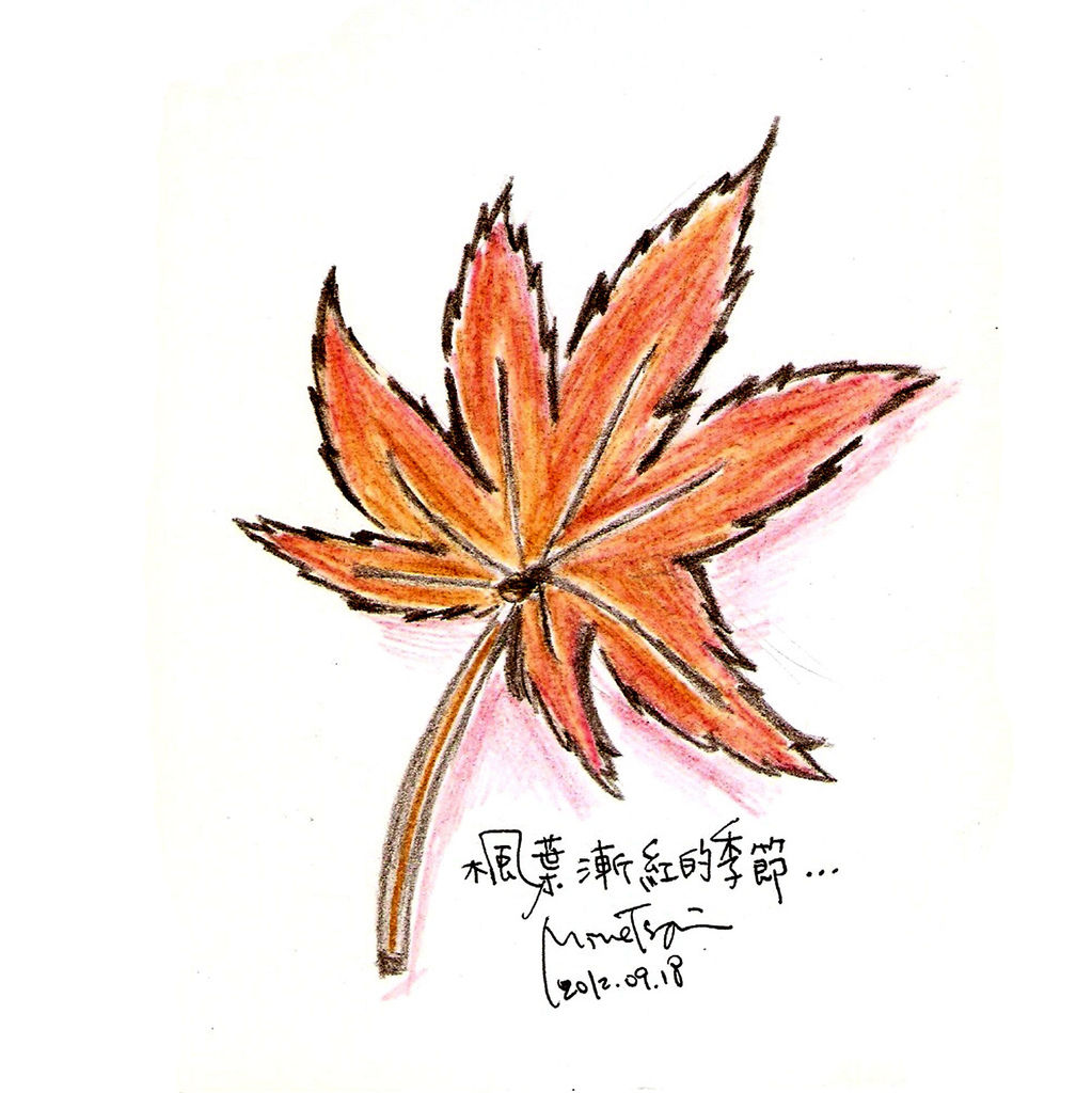 0919楓葉