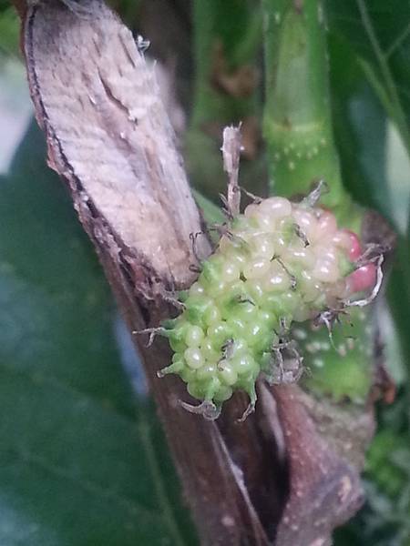 20130709_132931 20130709_132931