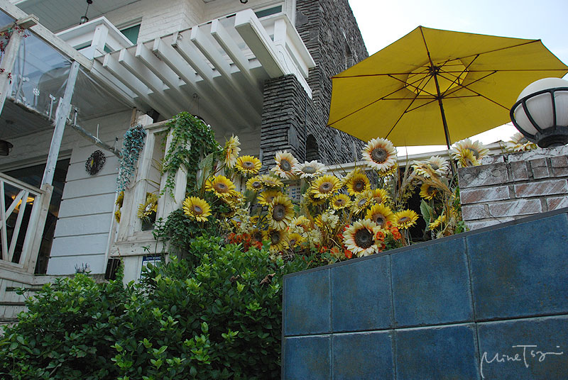 02 (5).jpg 02 (5).jpg