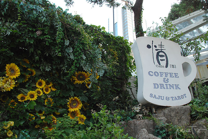 02 (6).jpg 02 (6).jpg